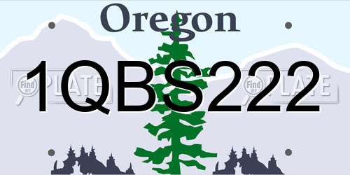 1QBS222 Oregon License Plate
