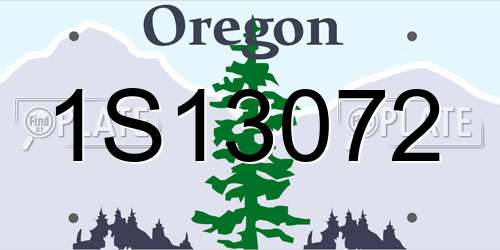 1S13072 Oregon License Plate