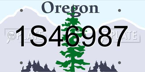 1S46987 Oregon License Plate