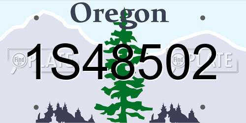 1S48502 Oregon License Plate