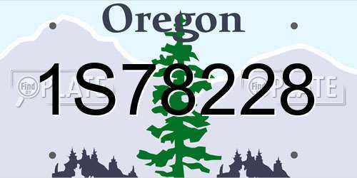 1S78228 Oregon License Plate