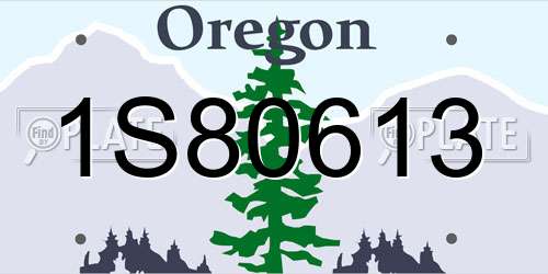 1S80613 Oregon License Plate