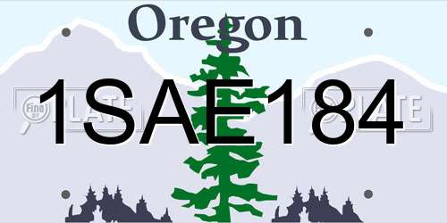 1SAE184 Oregon License Plate