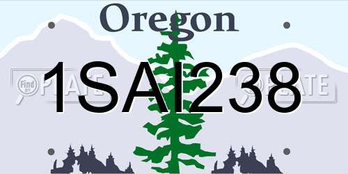 1SAI238 Oregon License Plate
