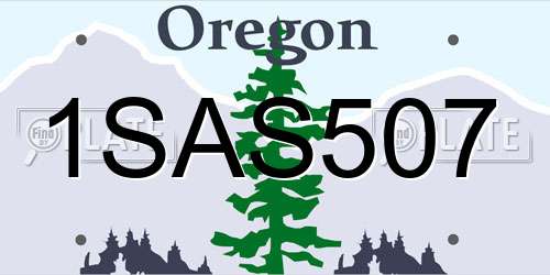 1SAS507 Oregon License Plate