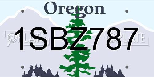 1SBZ787 Oregon License Plate