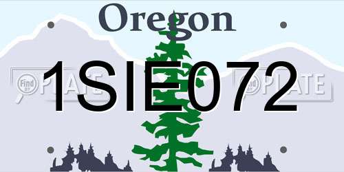 1SIE072 Oregon License Plate