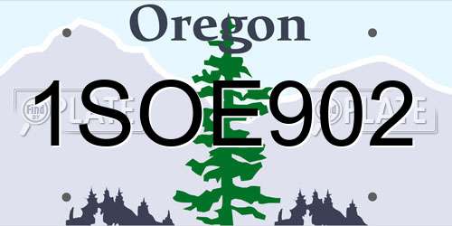 1SOE902 Oregon License Plate
