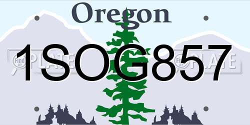 1SOG857 Oregon License Plate