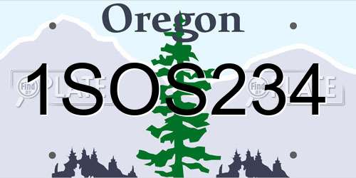 1SOS234 Oregon License Plate