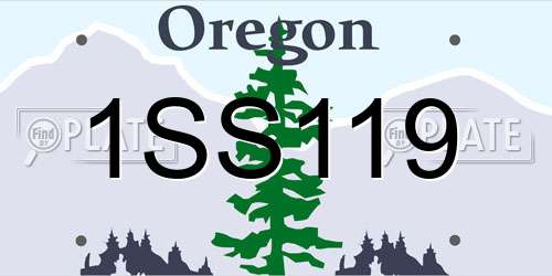 1SS119 Oregon License Plate