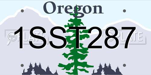 1SST287 Oregon License Plate