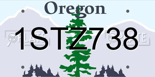 1STZ738 Oregon License Plate