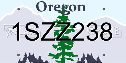 1SZZ238 Oregon License Plate