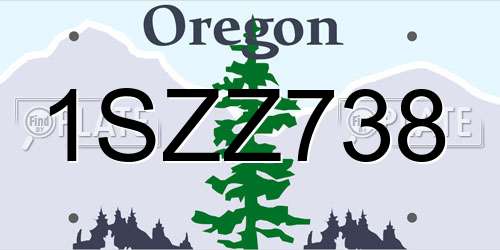 1SZZ738 Oregon License Plate