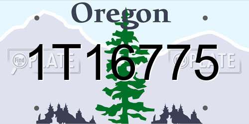 1T16775 Oregon License Plate