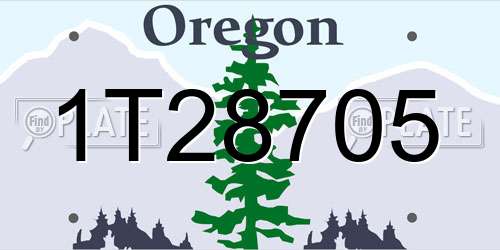 1T28705 Oregon License Plate