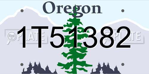 1T51382 Oregon License Plate