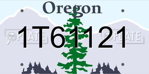 1T61121 Oregon License Plate