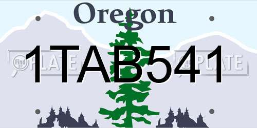 1TAB541 Oregon License Plate