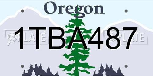 1TBA487 Oregon License Plate