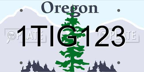 1TIG123 Oregon License Plate