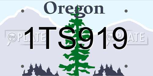 1TS919 Oregon License Plate