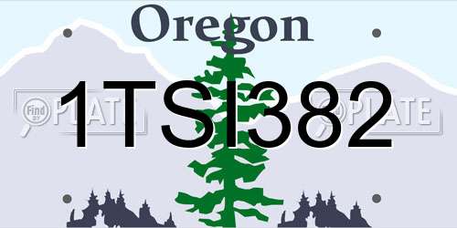 1TSI382 Oregon License Plate