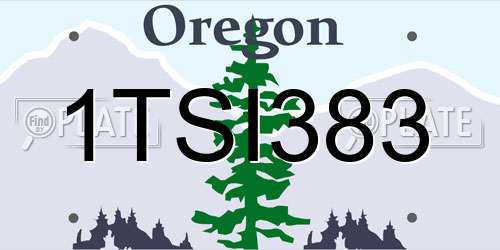 1TSI383 Oregon License Plate