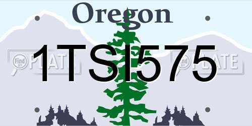 1TSI575 Oregon License Plate