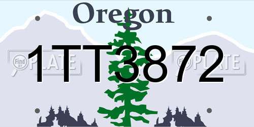 1TT3872 Oregon License Plate
