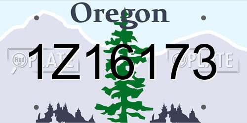 1Z16173 Oregon License Plate
