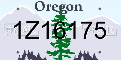 1Z16175 Oregon License Plate