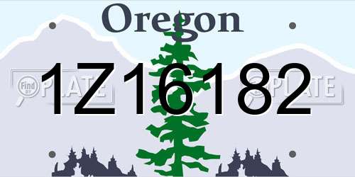 1Z16182 Oregon License Plate