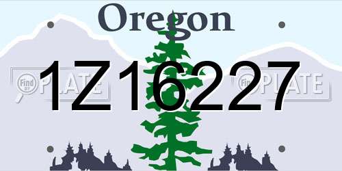 1Z16227 Oregon License Plate