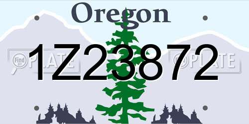 1Z23872 Oregon License Plate
