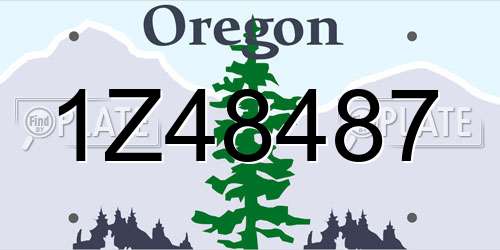1Z48487 Oregon License Plate