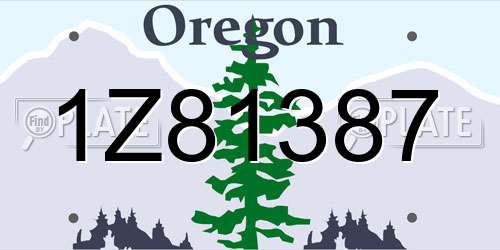 1Z81387 Oregon License Plate