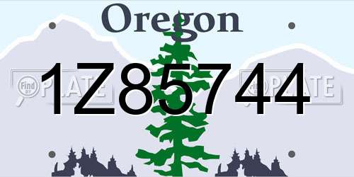 1Z85744 Oregon License Plate