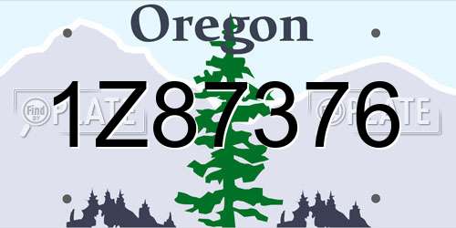 1Z87376 Oregon License Plate