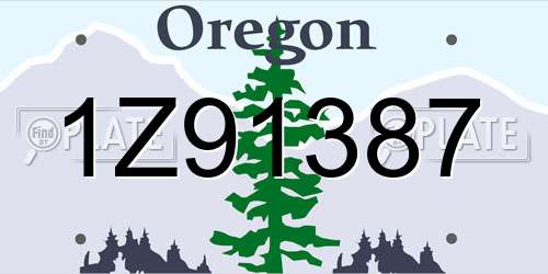 1Z91387 Oregon License Plate