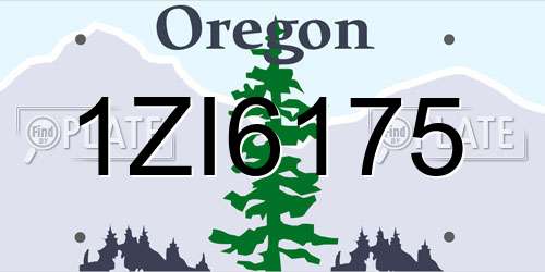 1ZI6175 Oregon License Plate