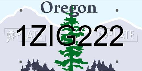 1ZIG222 Oregon License Plate