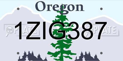 1ZIG387 Oregon License Plate