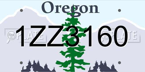 1ZZ3160 Oregon License Plate