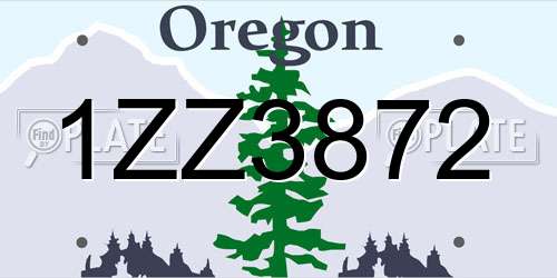 1ZZ3872 Oregon License Plate