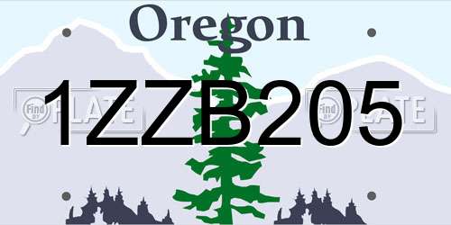 1ZZB205 Oregon License Plate