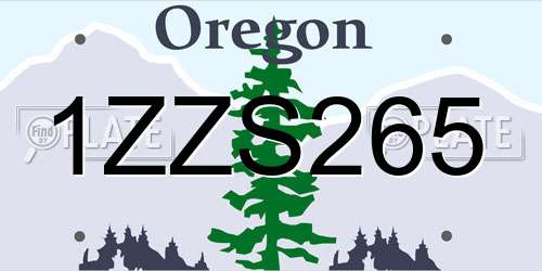 1ZZS265 Oregon License Plate