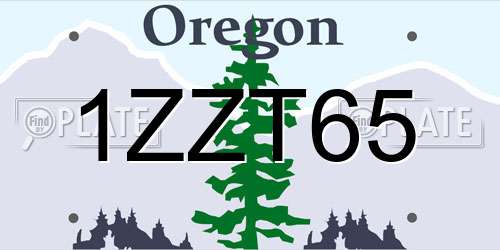 1ZZT65 Oregon License Plate