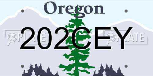 202CEY Oregon License Plate